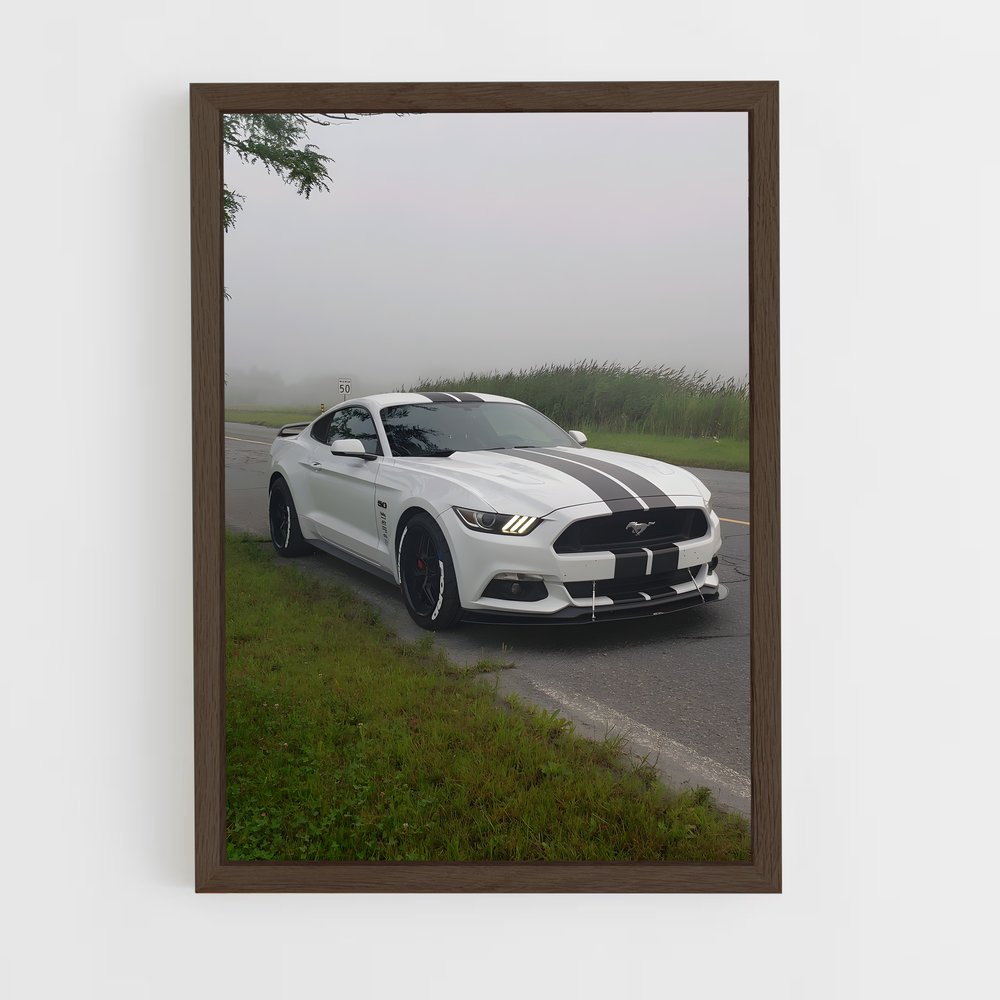 Poster Mustang Mythique – affiche Shelby (vue 5)